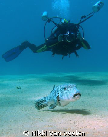 My friend Otta Hally getting his shot...taken at Marsa Ba... by Nikki Van Veelen 