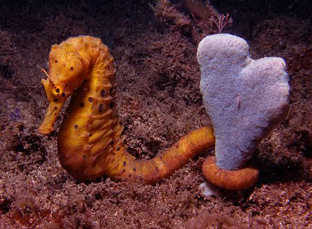 Happy Valentine's Day!  : ) by Doug Anderson 