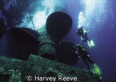 zenobia by Harvey Reeve 
