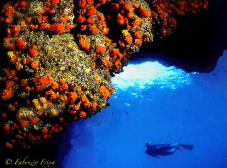 From inside a cave in marine protected "Plemmirio" - Syra... by Fabrizio Frixa 
