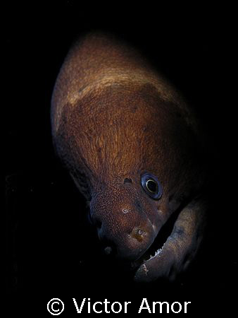 Dark 1 by Victor Amor 