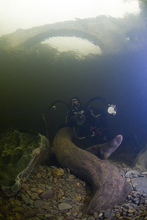 A WC in action.. River Lune. Cumbria. D200, 10.5mm by Derek Haslam 