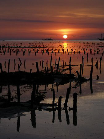 Sunset over seaweed farm, Nusa Lembongan by Doug Anderson 