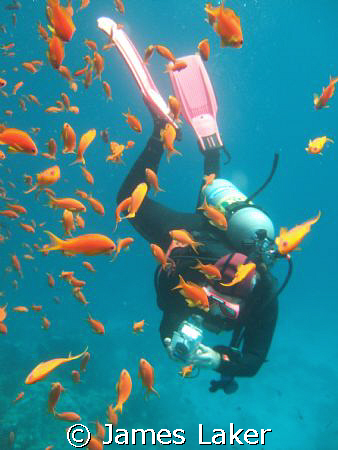 My dive friend Kat lining up a shot by James Laker 
