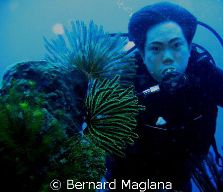 MY BROTHER'S PORTRAIT/Samal Island,Davao City by Bernard Maglana 