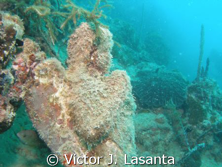  guardian angel statue at the enrigue dive  and  snorkeli... by Victor J. Lasanta 