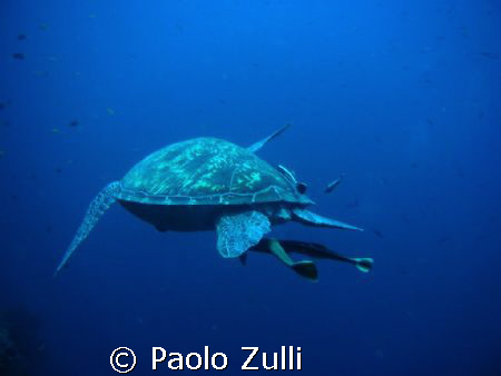 nel blu delle filippine by Paolo Zulli 