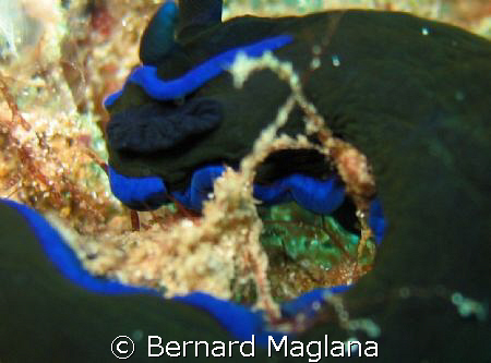OLD ENTRY:NEW PERSPECTIVE/Samal,Island,Davao City by Bernard Maglana 