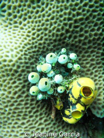 Nothing much, i just liked the textures :) by Jeanine Garcia 
