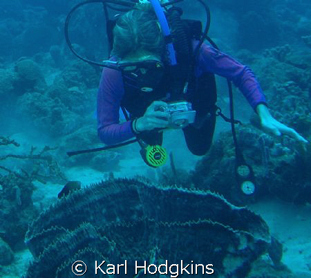 So what's in here then mmm! by Karl Hodgkins 