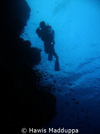 A diver on coral reef monitoring by Hawis Madduppa 