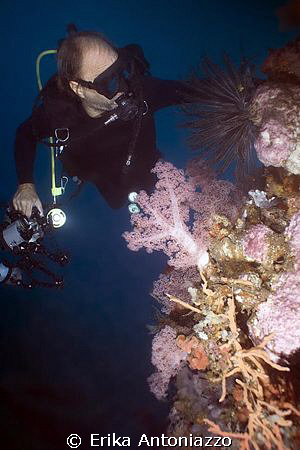 Diver looking coral. by Erika Antoniazzo 