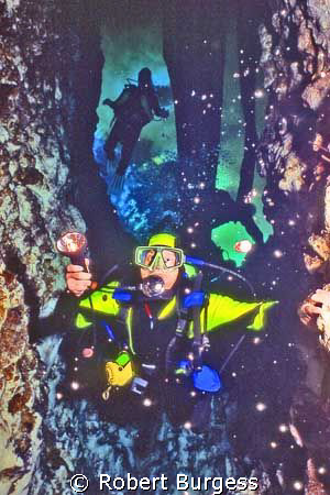 INTO THE DEVIL'S EAR
Divers entering  Florida's Giinnie ... by Robert Burgess 