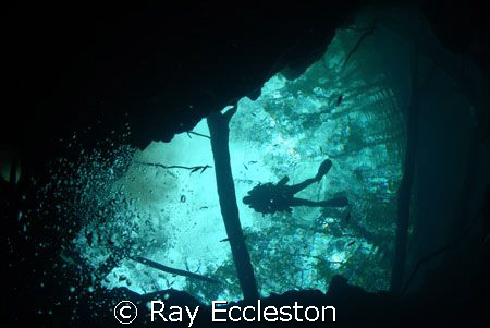 Descending into Buford Springs. Camera Nikon D-200 by Ray Eccleston 