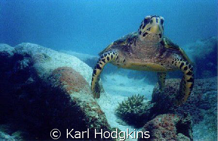 I AM COMING FOR YOU by Karl Hodgkins 