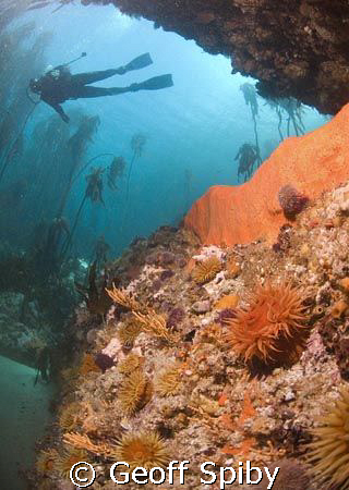 a clean day in False Bay, Cape Town by Geoff Spiby 