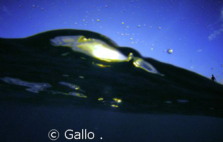 The "SEA" and the "man" by Gallo . 