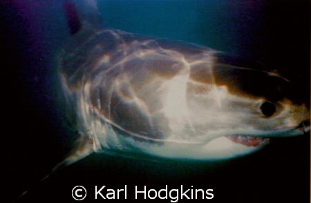 Man! that is close by Karl Hodgkins 