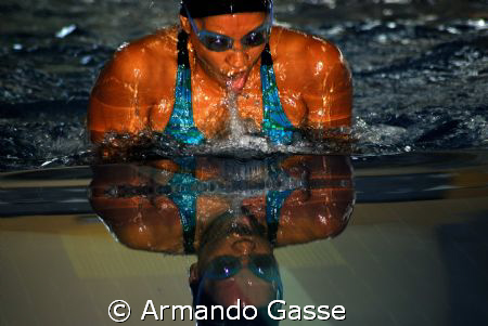 Swimming for the Gold by Armando Gasse 