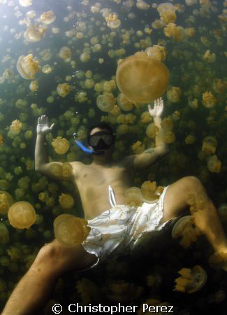 Jellyfish Waterbed by Christopher Perez 