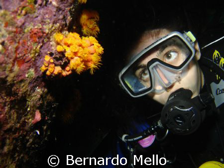 My beautiful princess - My daughter by Bernardo Mello 