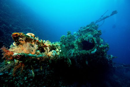 The Carnatic in the Egyptian Red Sea. by Dray Van Beeck 