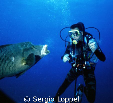 the discussion by Sergio Loppel 