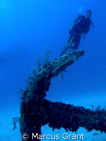 A diver hovers over a large anchor by Marcus Grant 