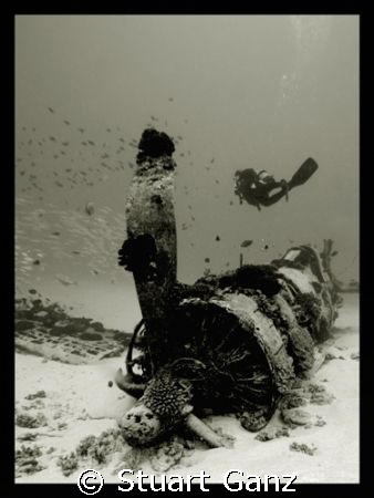 Diver over Carsair. Taken off Oahu's South shore with Can... by Stuart Ganz 