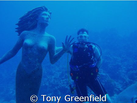 Mermaids do exist by Tony Greenfield 