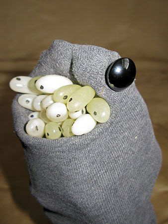 I'm starting to suspect that those shots of Jawfish may n... by Brian Mayes 