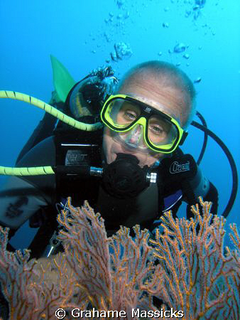 You will not find a pygmy in there Alec!!  Shot of Tioman... by Grahame Massicks 