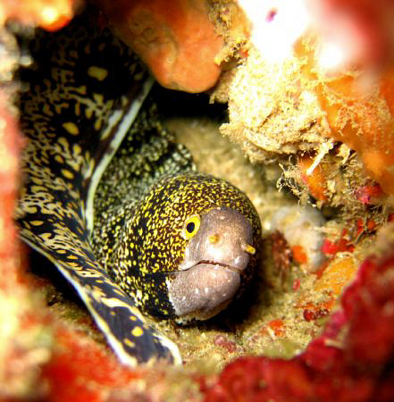 Samal Island, Davao City by Bernard Maglana 