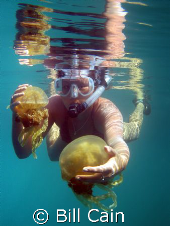 Taken in Secret Lake where the jellyfish are not as numer... by Bill Cain 
