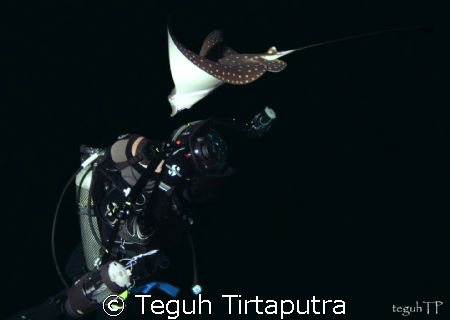 Dark Romance Illusion. This is about romance between two ... by Teguh Tirtaputra 