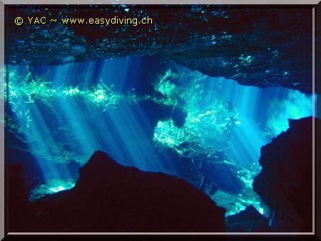 Diving in the "Cenotes"... Amazing by Yannick Abel-Coindoz 