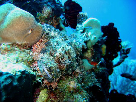 Samal Island, Davao City, Philippines by Bernard Maglana 