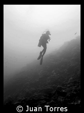 B & W of my wife in Bonaire. by Juan Torres 