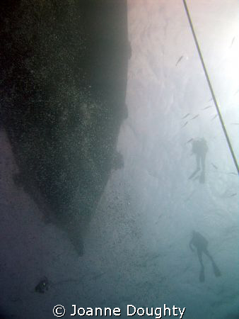 Diving Koh Tao, Thailand by Joanne Doughty 
