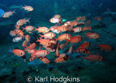 Crowds by Karl Hodgkins 