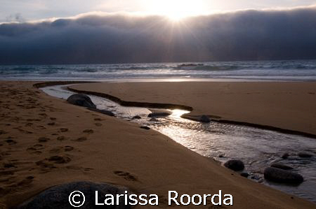 Big Sur, CA
Garrapata Creek by Larissa Roorda 