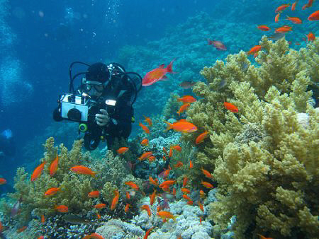 Sharm el Sheikh by Vidar Aas 