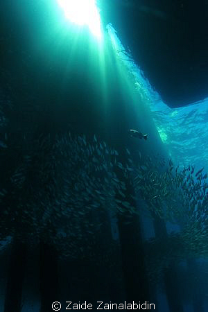 under the jetty @ tioman, malaysia by Zaide Zainalabidin 