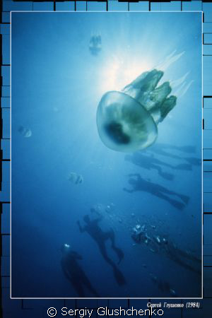 Jelly Fish and Divers by Sergiy Glushchenko 