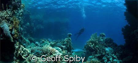 a panorama made up of 6 photos taken vertically and stitc... by Geoff Spiby 