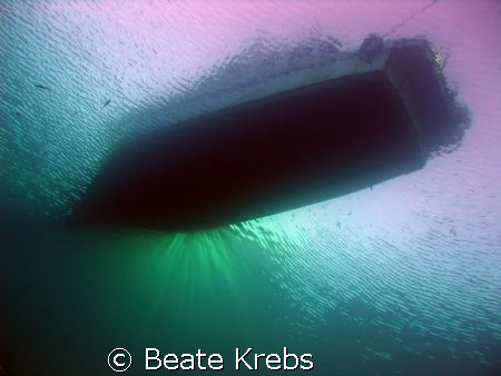 During an Early Morning Dive from shore , Canon S70  by Beate Krebs 