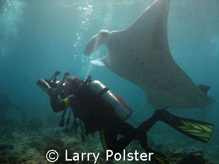 Manta cleaning station  by Larry Polster 