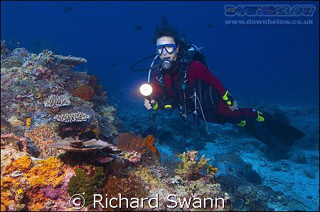 My wife enjoying the Colourful Corals. Sabah, Borneo.  Ni... by Richard Swann 