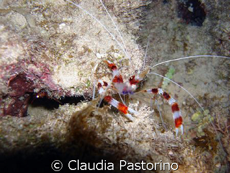 Close to the clown.  by Claudia Pastorino 