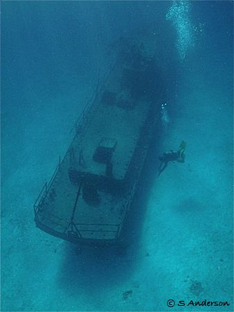 Our divemaster in search of lunch, this photo was taken i... by Steven Anderson 